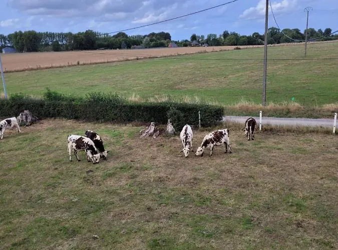 3 * Biville-la-Baignarde